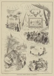 International Forestry Exhibition at Edinburgh